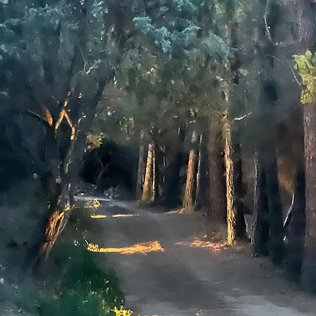 Apartamento Agreen *