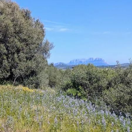 Agreen Apartamento Olbia