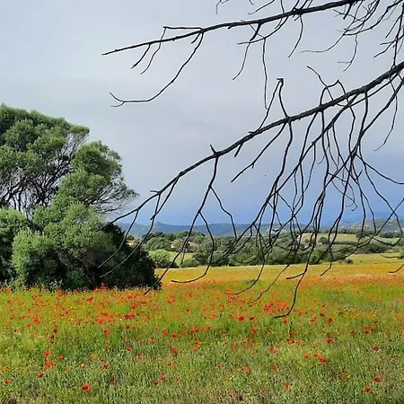 Apartment Agreen Olbia